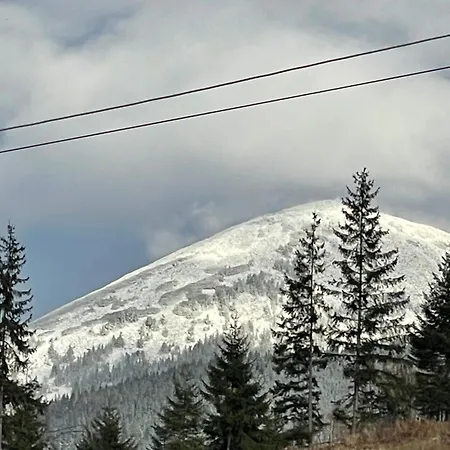 затишні Svi 布克维