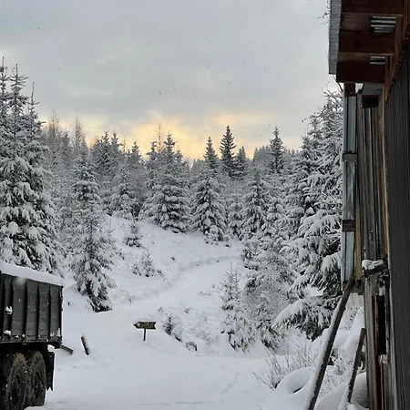 затишні Svi *