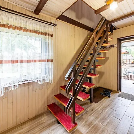 затишні Svi *