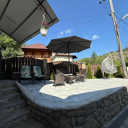 затишні Svi 布克维