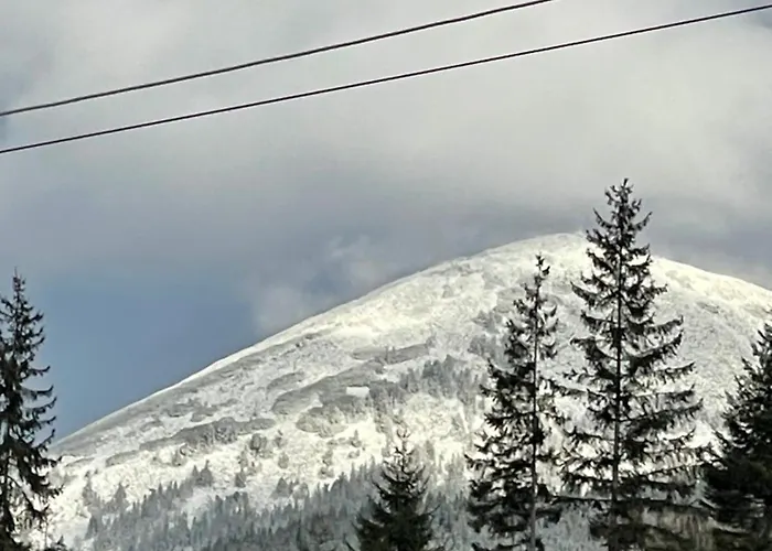 затишні Svi Bukovel